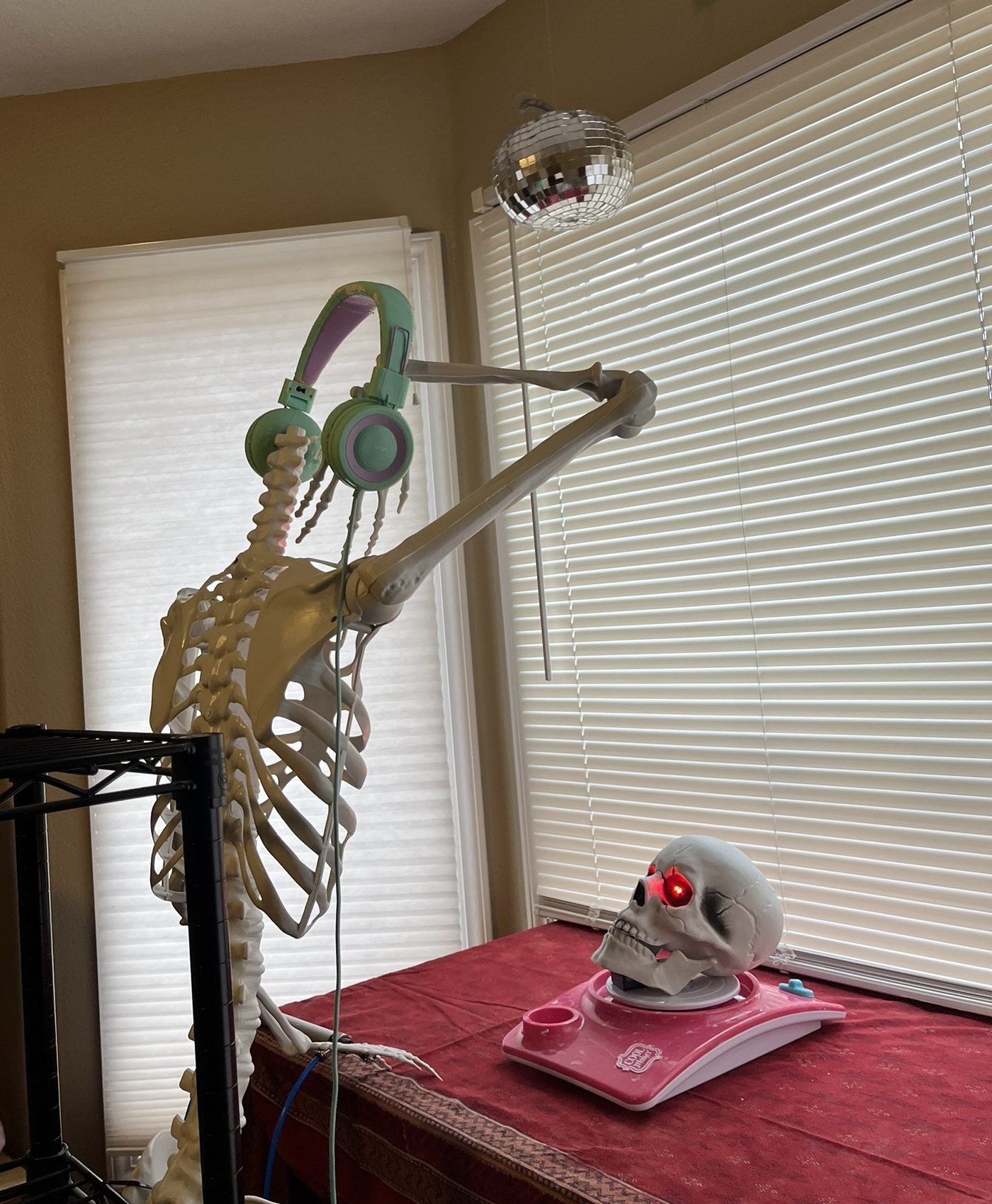 A 6 ft plastic skeleton attached to wire shelves with headphones, its skull on a turntable in front